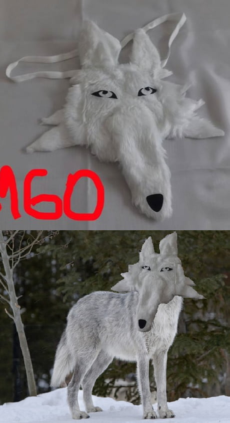 Create meme briefs with a wolf waiting, briefs by wolf meme