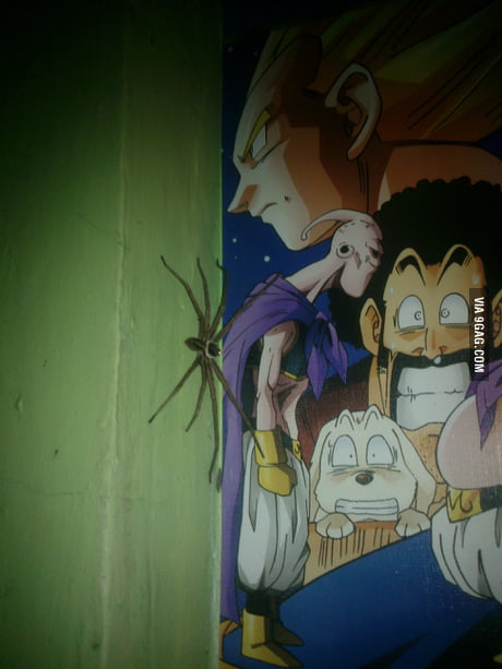 One Piece x Dragon Ball x Toriko - 9GAG