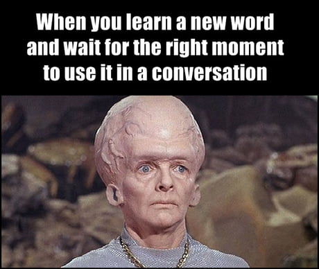 Does looking at memes sound interesting? - #tetxting #boring #wyd #memes  #9gag