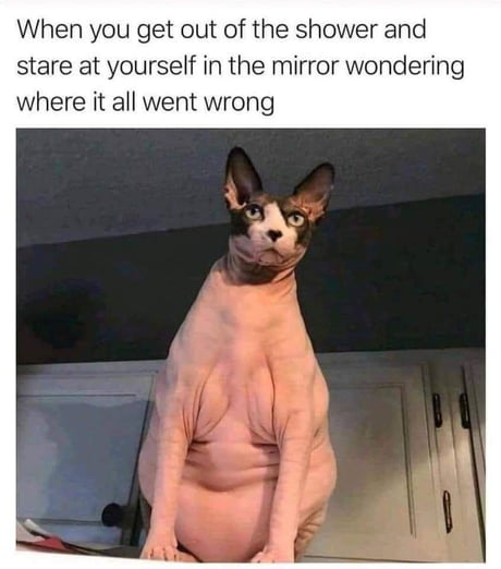 Idk