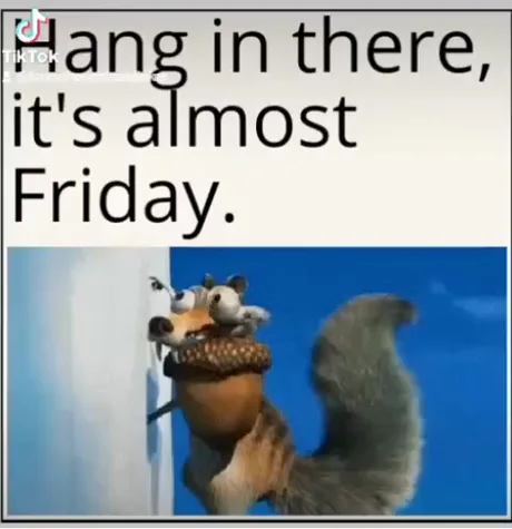 its almost friday funny pictures