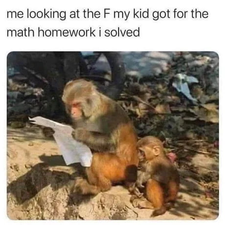 Best Monkey Memes!  Monkey memes, Funny monkey memes, Monkeys funny