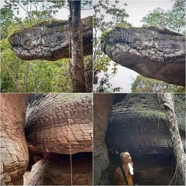 This cave formation in Thailand that looks like a giant petrified snake