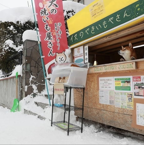 Dog's Roasted Sweet Potato Stand - Gastro Obscura