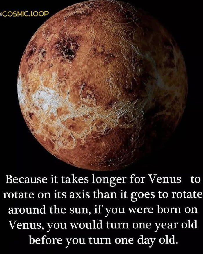 A day on Venus is a little longer than a year.