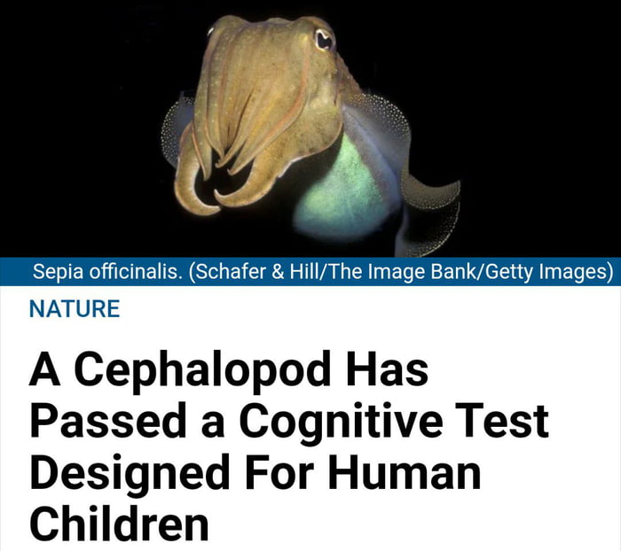 Scientists: Sir, will this post going to impact the child that failed the test?