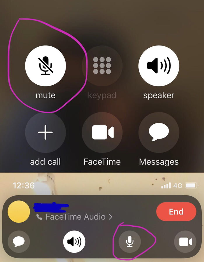 IOS 15. FaceTime audio call, the mic button has a different ‘muted ...