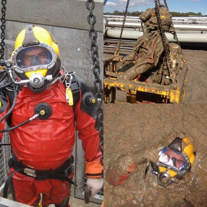 Poo diving in Australia is a job, why? Well.. some process involves