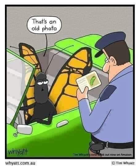License