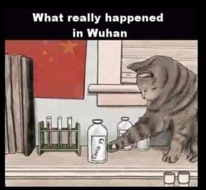 What really happened in Wuhan