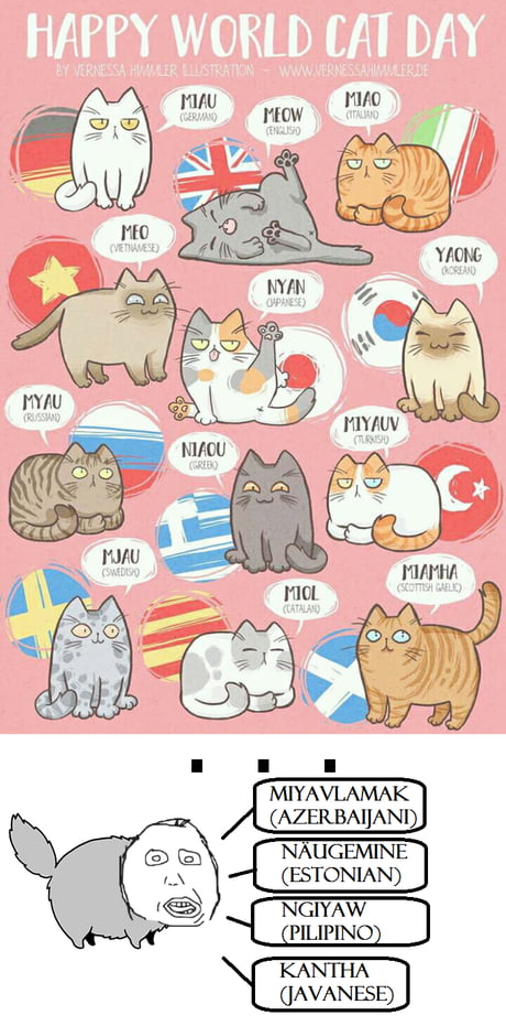 Pop Cat in different languages meme 