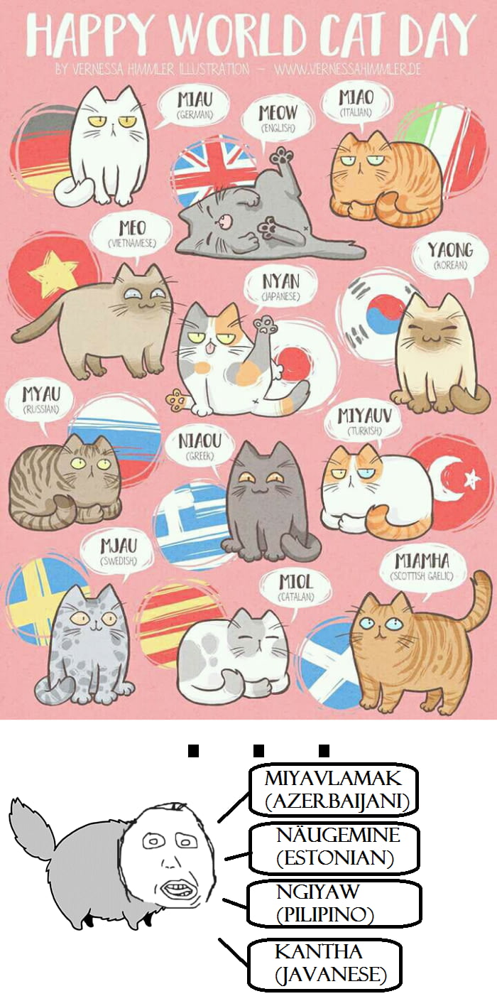 meow-in-other-languages-weird-edition-9gag