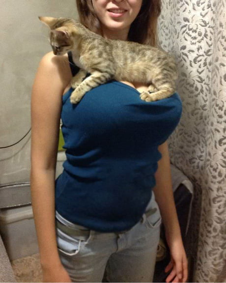 Cat girl boobs