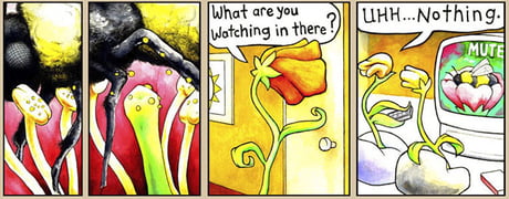 Ffflower