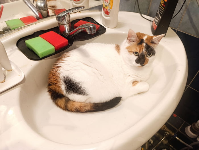 I fits/ I sits