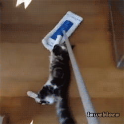 Mop