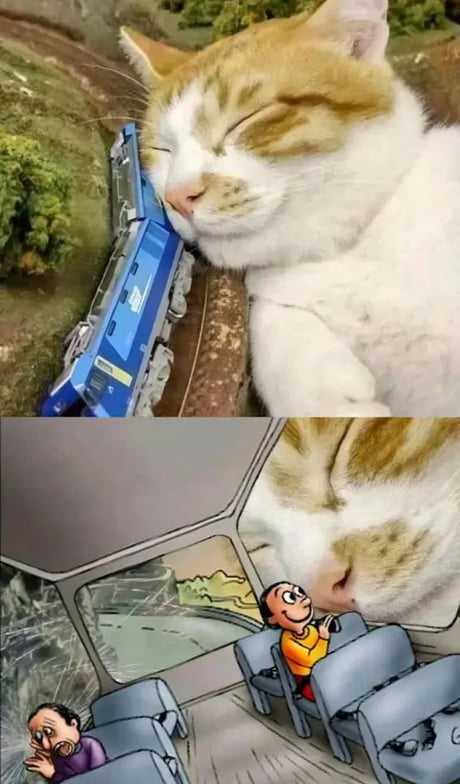 It's the juice memes are not getting thru what a mystery huh anyway here's a cat take on this classic meme.