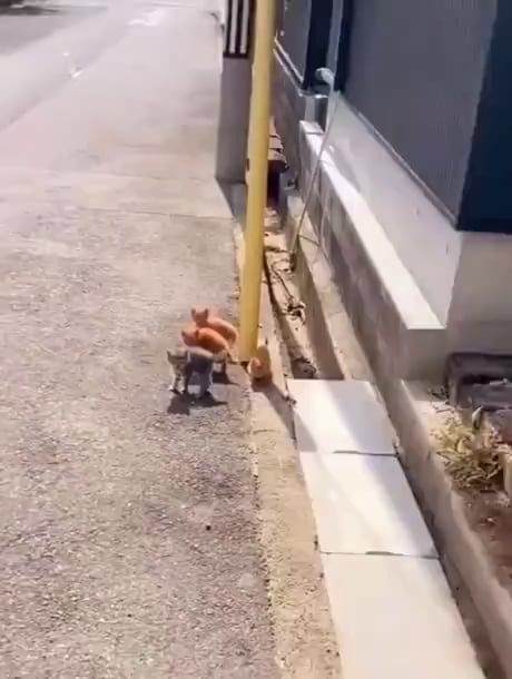 When you entered the wrong area