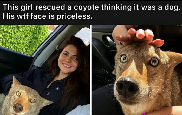 That moment you realize you've adopted a wild child