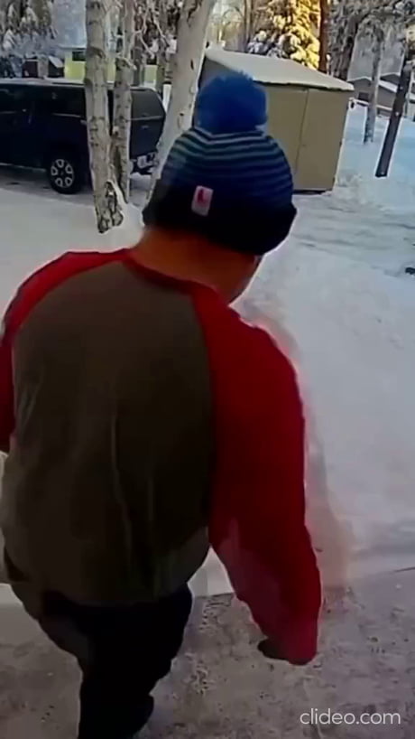 I am sure this isn't his first encounter with a Moose.