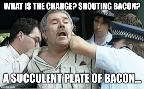 Best Funny succulent chinese meal Memes - 9GAG