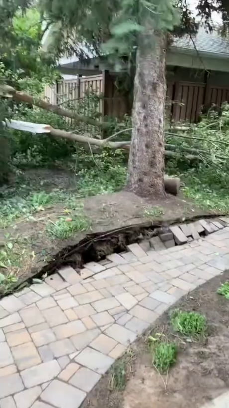 Wow..