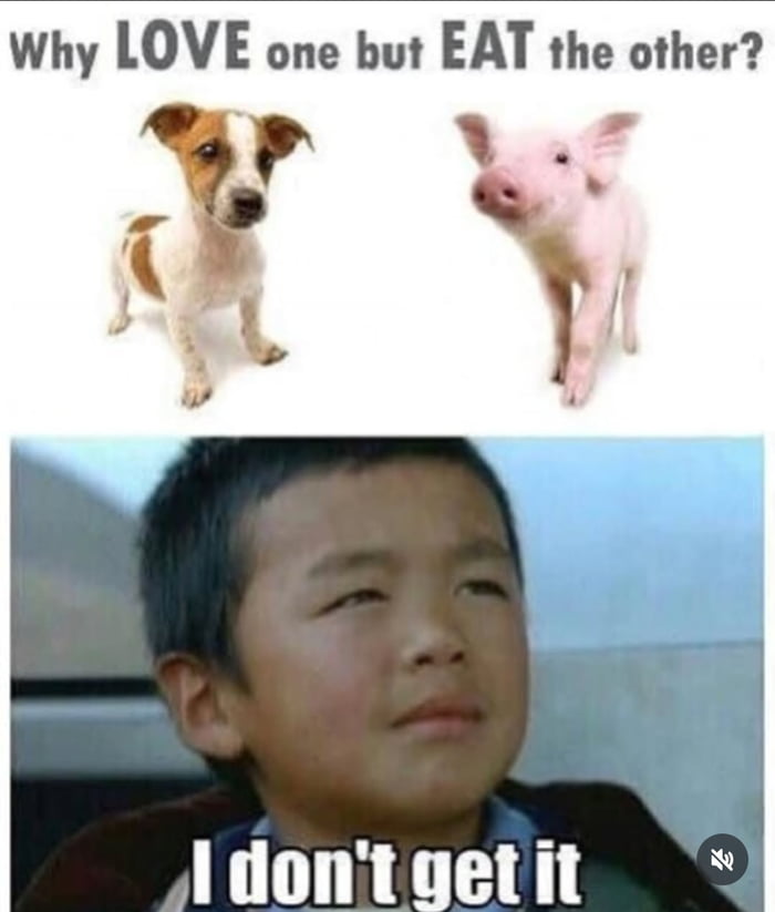 Bro didn't understand the question.