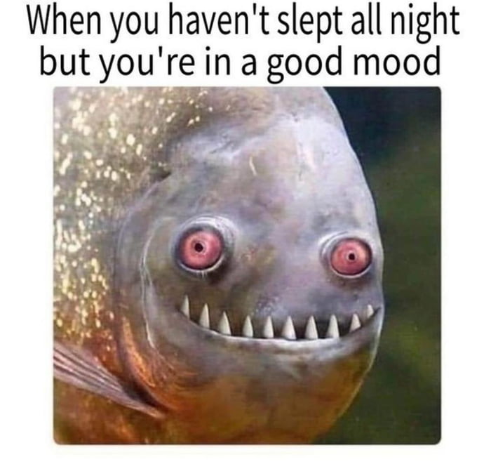 what-is-sleep-cycle-9gag