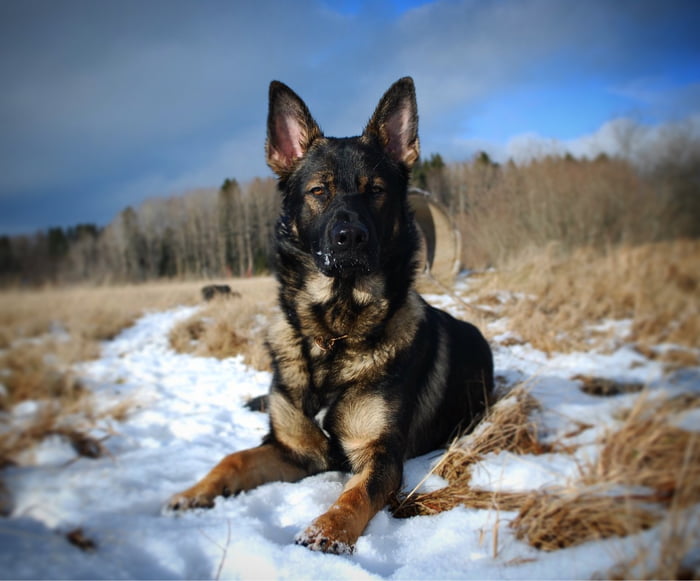 What would you name him?