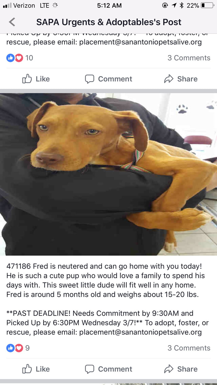 People in Tx !! please help Fred get a home!!