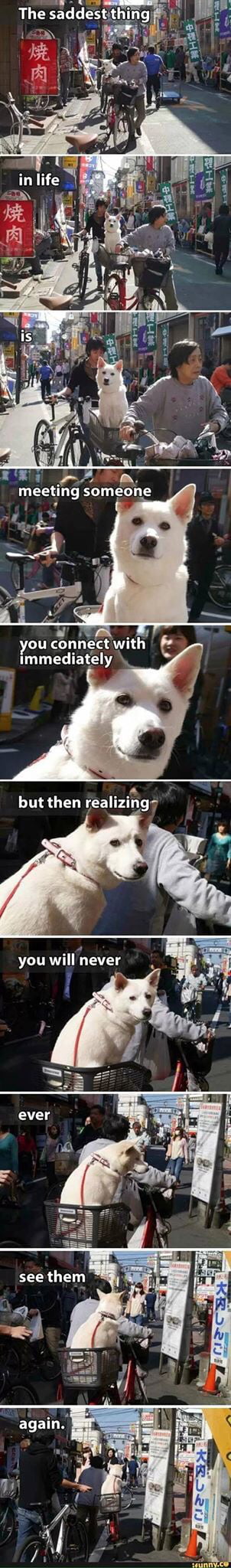 The feels