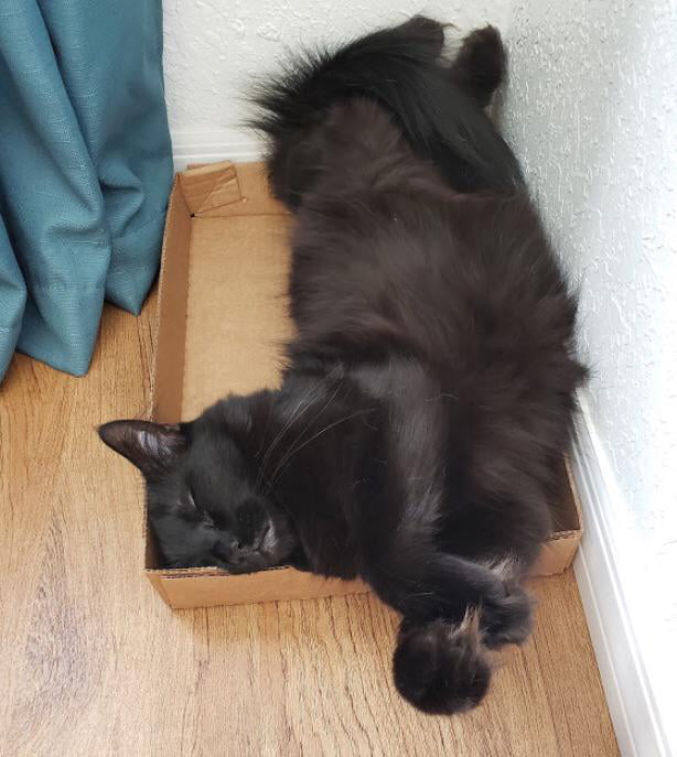 Of all the spots you choose