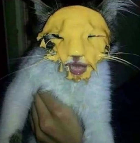 lion king trailer 2018