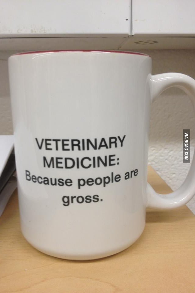 veterinary-science-veterinary-school-veterinary-hospital-veterinary