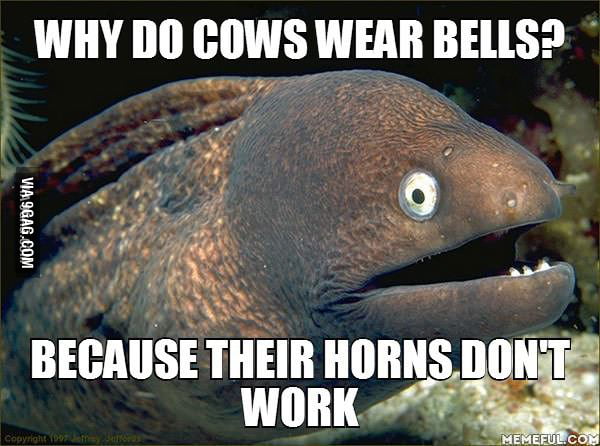 Why Do Cows Wear Bells 9gag 3881