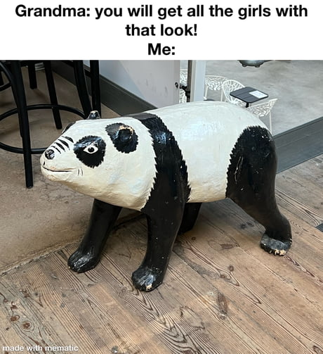 Best Funny giant panda Memes - 9GAG