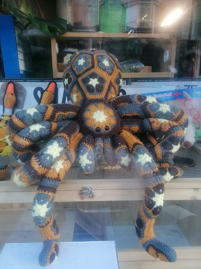 Knitted tarantula at a pet shop in Dublin 9GAG