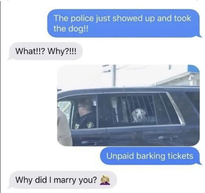 Sounds like a ruff time