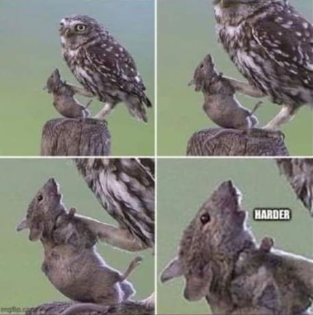 Harder Daddy