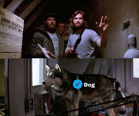 the thing dog