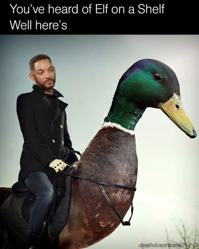 Smacker On A Quacker. - 9GAG