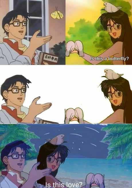 A new take on an old classic The anime butterfly guy discovers a new  thing  rmemes