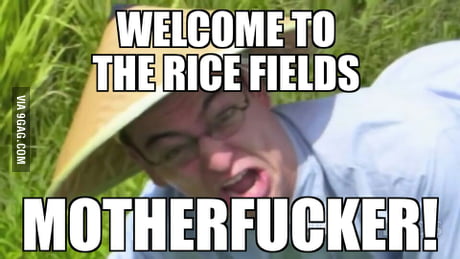 welcome to the ricefields