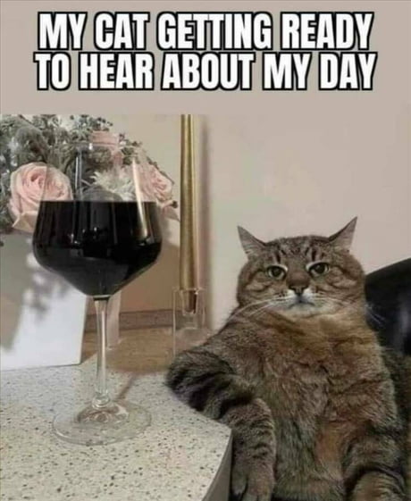 Best Funny Wine Memes 9gag