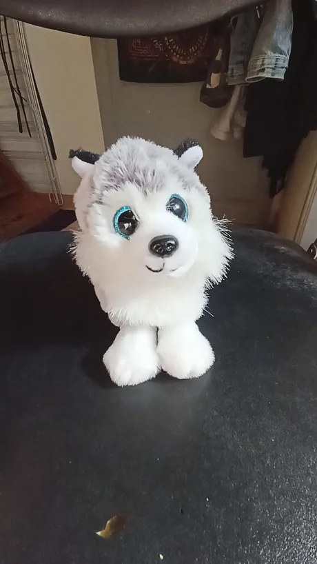 husky with stuffed animal meme