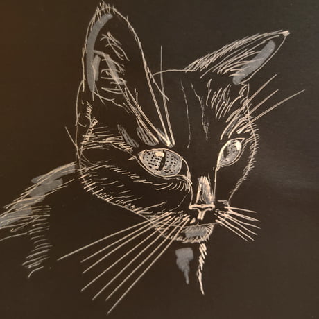 How to Draw With White pen on Black Paper step by step 
