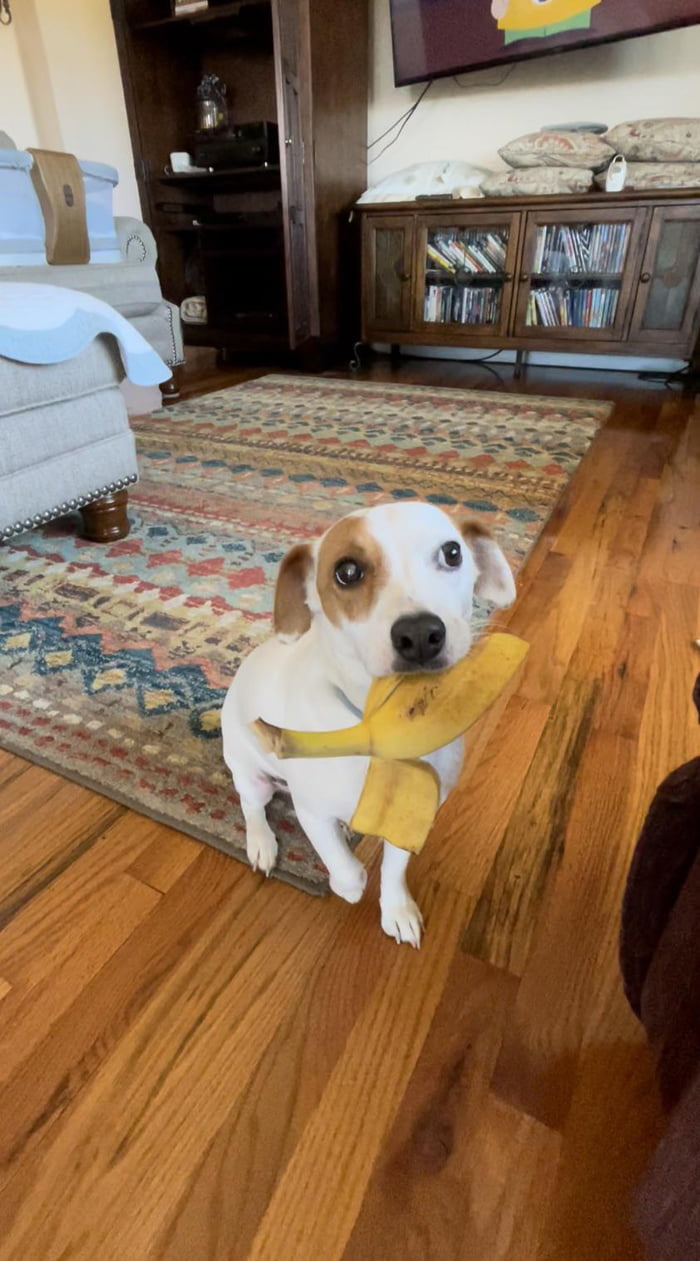 She didn’t know what to do with it after she stole it. 9GAG