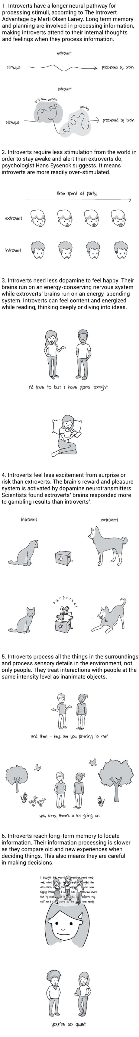 What It's Like In An Introvert's Head (By Liz Fosslien and Mollie