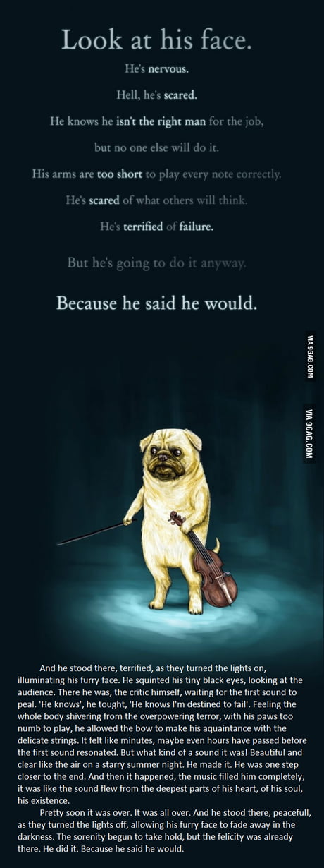 pug story