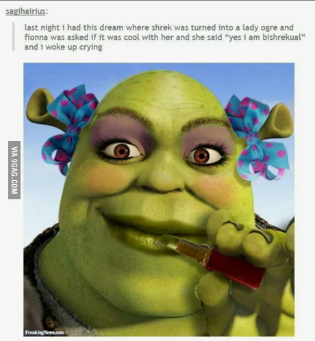 Shrek Is Love, Shrek Is Life